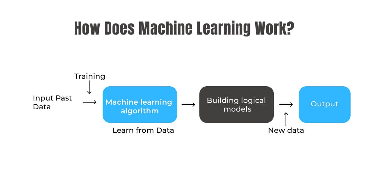 How Does Machine Learning Work? 