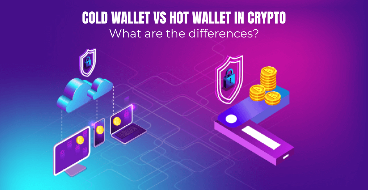 Cold Wallet vs Hot Wallet in Crypto