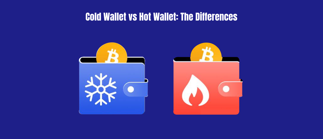 Cold Wallet vs Hot Wallet: The Differences 