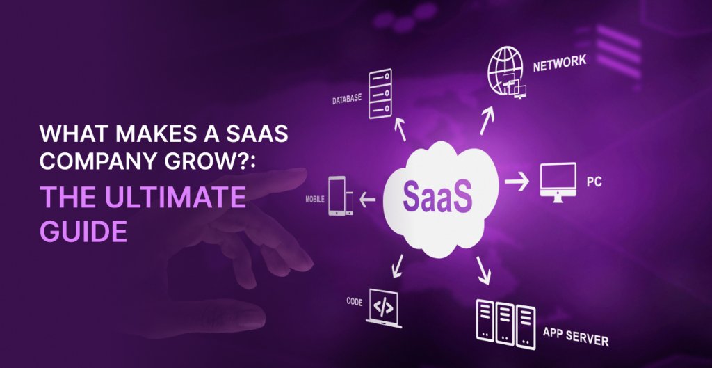 What makes a SaaS company grow