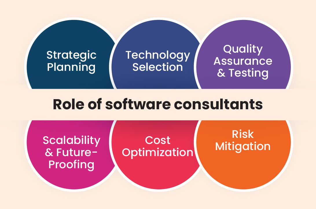 Role of software consultants
