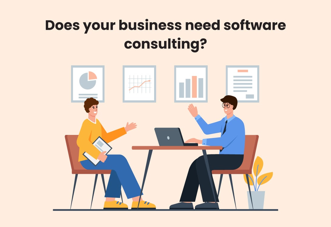 Reasons why you should invest in software consulting?